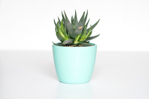 Pots & Accessoires
